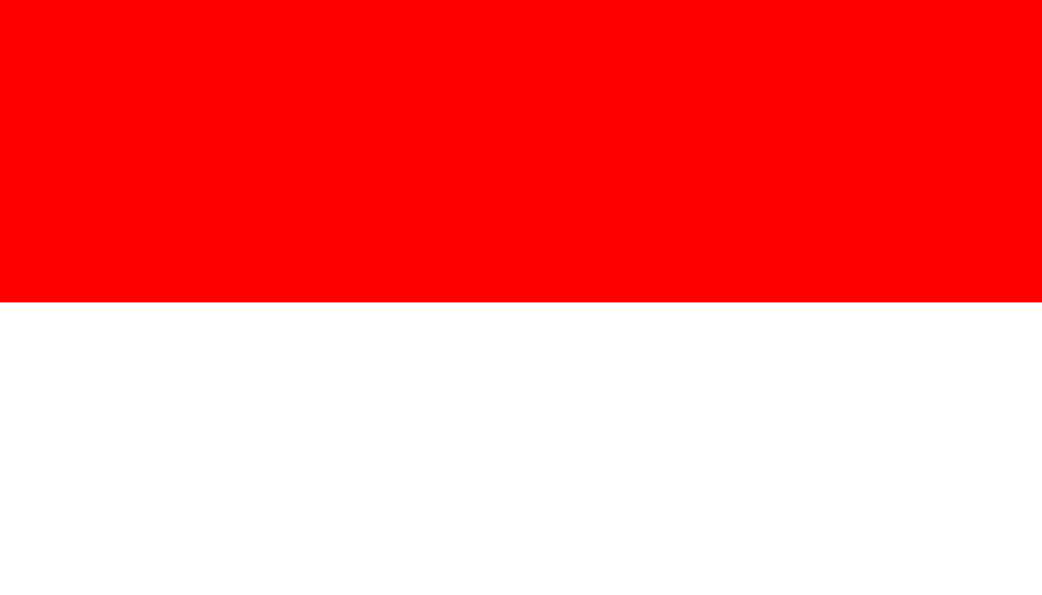 FLAG-ID